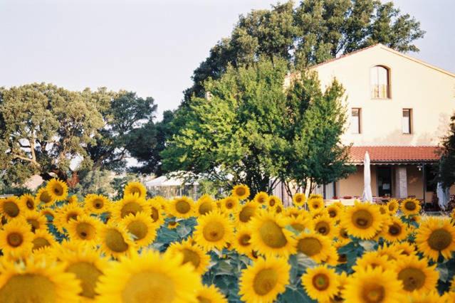 Roccastrada House | Podere Le Querce