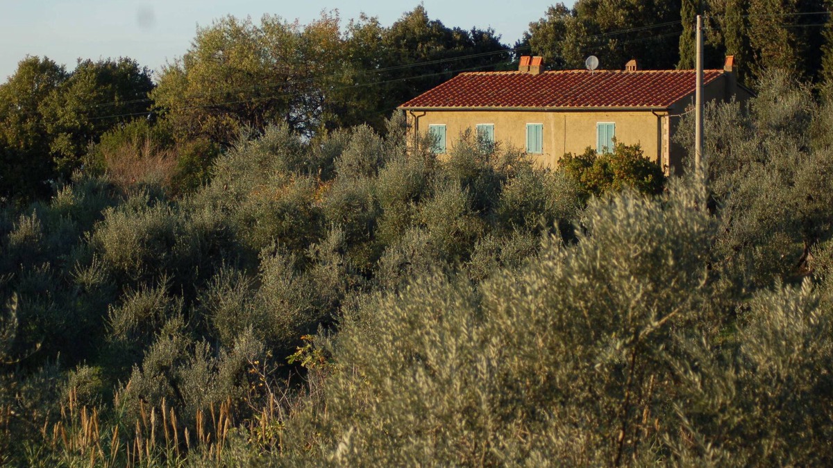 Castagneto Carducci House | Podere Piaggette Segalari, Apartment Sea Side