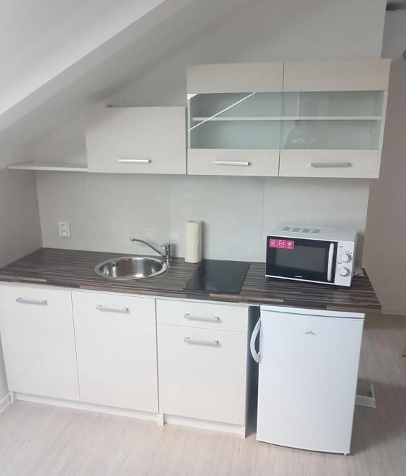 Uhersky Brod Apartment | podkrvnī byt pro dva s kuchyňou
