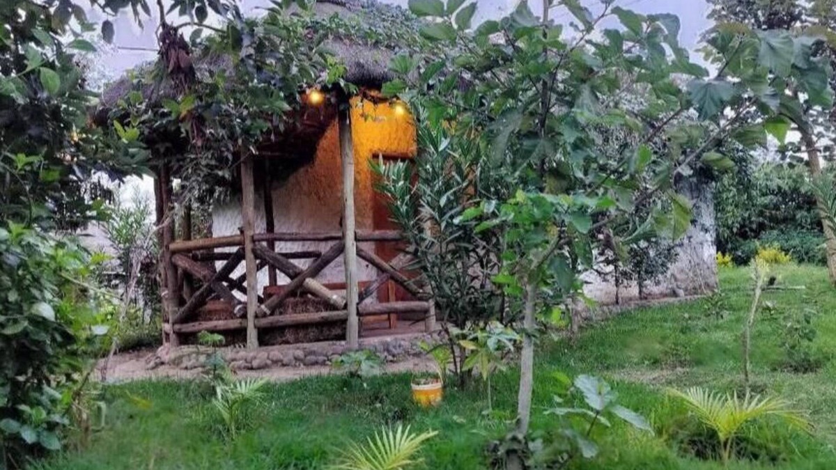 Naro Moru Cottage | Podocarpus Cottages -02