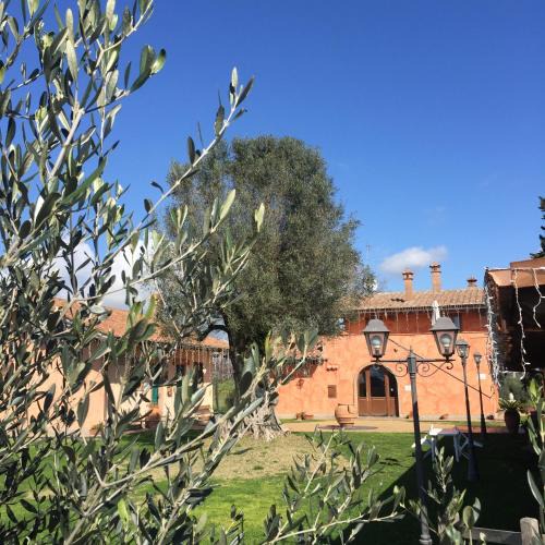 Zona LI La Storta Bed & Breakfast | Poggio dei cavalieri