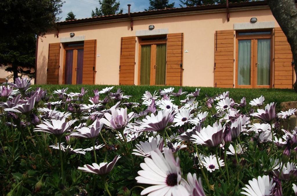 Ancona House | Poggio del Conero