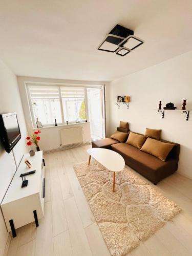 Lupeni Apartment | Pop’s Apartment