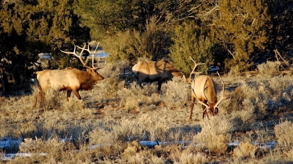 Valle House | Popular Vacation Rental At The Grand Canyon, Make yourselves at Home!