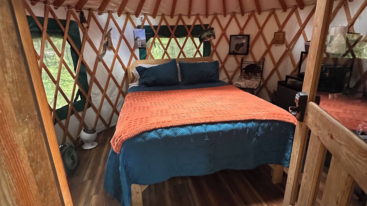 Bear Creek House | Porter's Perch,nA Cozy Yurt Tucked into the Woods