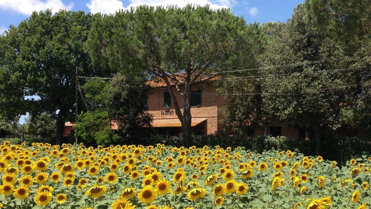 Grosseto Other | Portico apartment