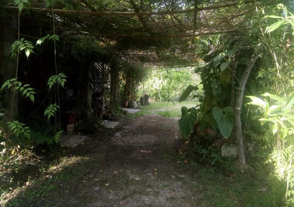 Siguatepeque Cabin | Posada El Malcotal