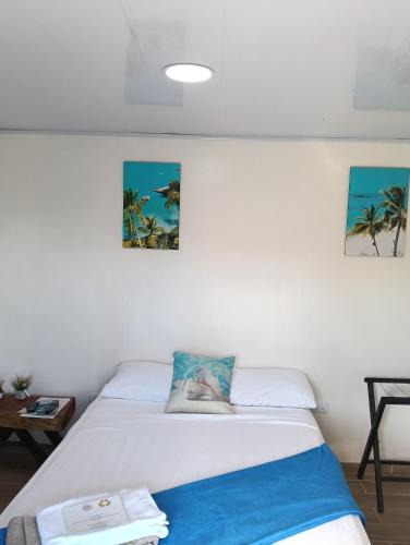 Providencia Bed & Breakfast | Posada In the Caribbean