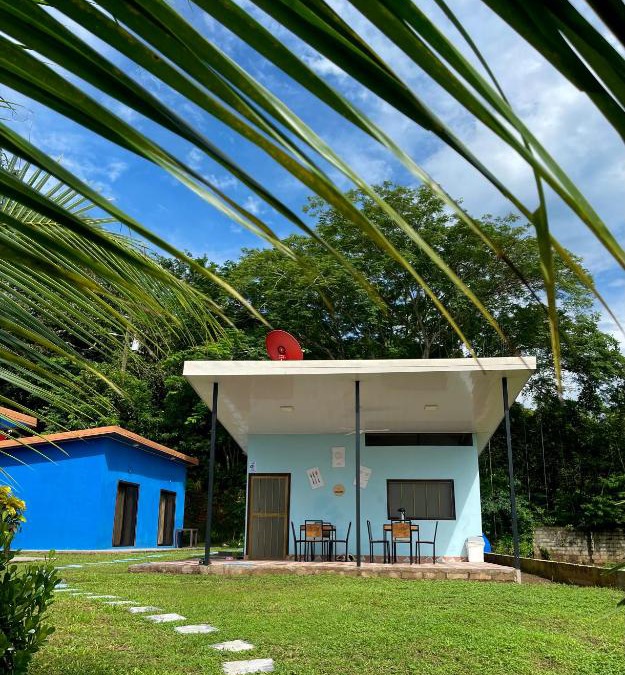 Matapalo House | POSADA MIRADIA