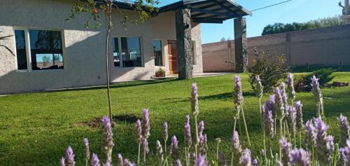 San Rafael House | Posada Rojo Malbec
