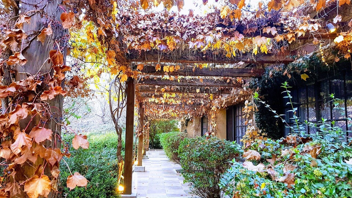 Los Arboles Hotel | Posada Salentein