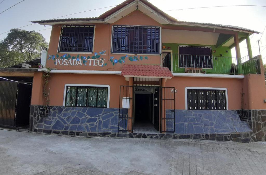 Xilitla Apartment | Posada TEO