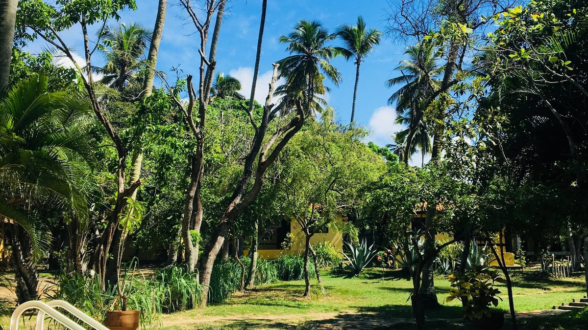 Imbassai Hotel | Pousada Araçás Village
