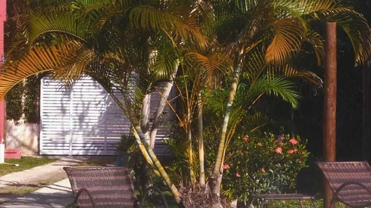 Arpoador Hotel | Pousada Arpoador de Búzios