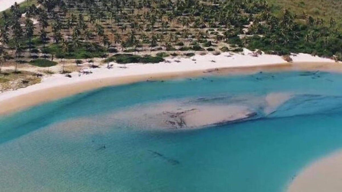 Barra do Jacuipe Hotel | Pousada Carvalhos