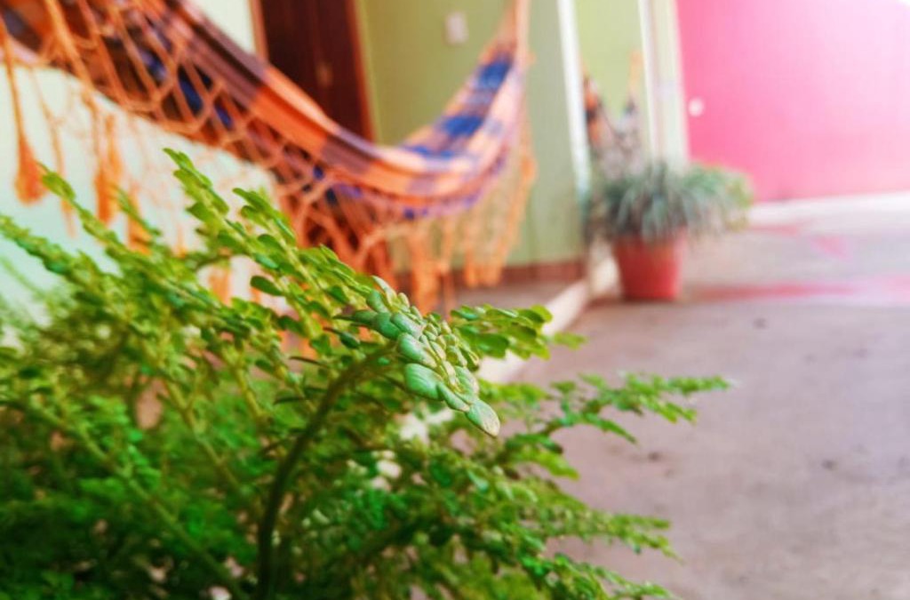 Serra do Cipo Hotel | Pousada Essência da Serra