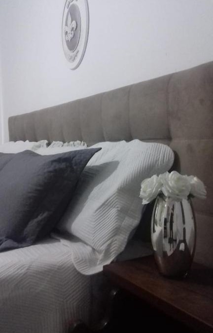 Volta Redonda Hotel | Pousada Flor De Lis Homestay