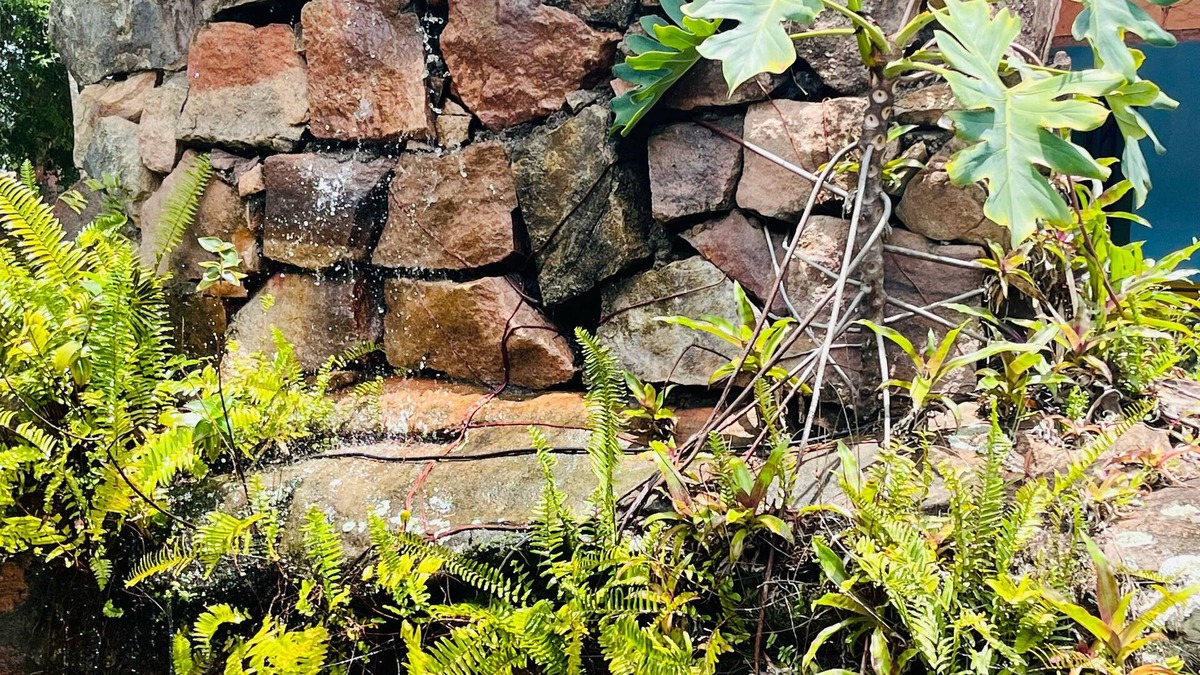 Mucuge Hotel | Pousada Recanto da Chapada