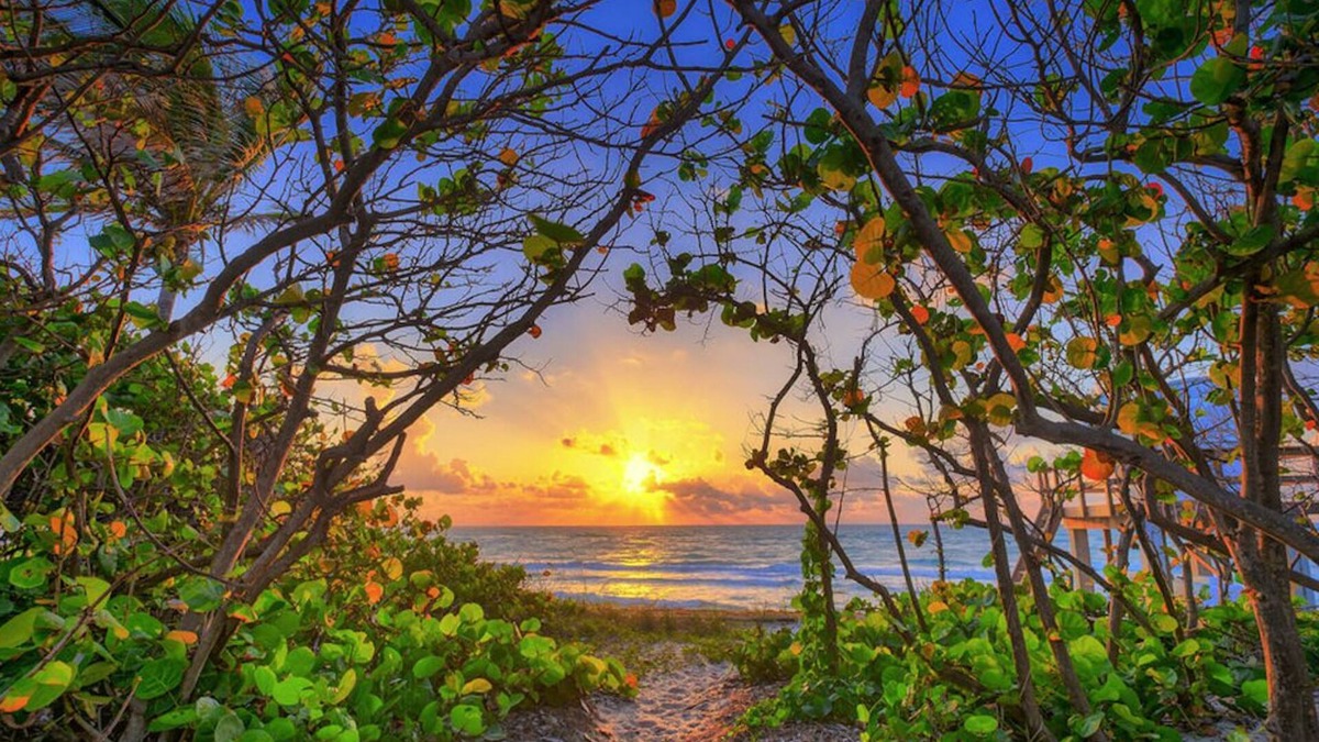 Bella Vista Condo | Practically on the beach; short walk across Carlin Park to the sand! ❤️💛💚