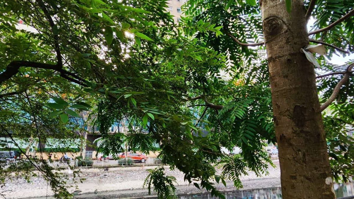 Hoang Mai Hotel | Prada homestay