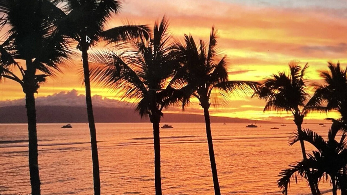 Historic Lahaina Front Street Condo | Premier Oceanfront Room - High-end remodel in the Best Location!