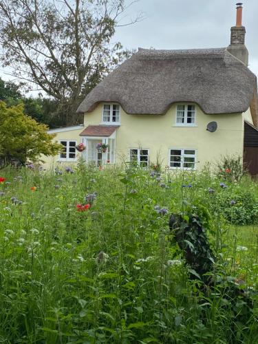 Holworth House | Primrose Cottage