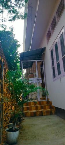Paltan Bazaar House | Primrose Homestay