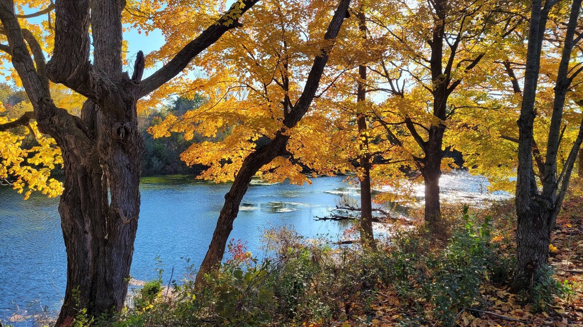 Prince Edward Cottage | Prince Edward County Pond-Side Getaway! Family-friendly private oasis!