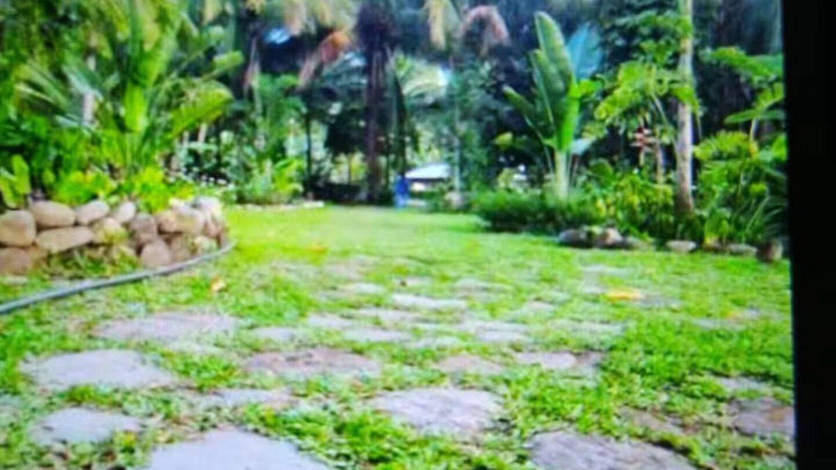 Catarman Apartment | Princess Palace - Looc
