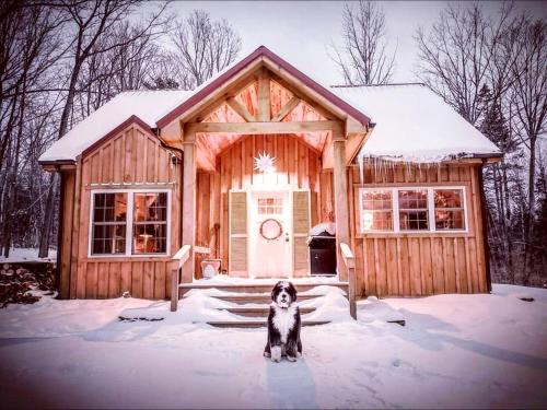 Naples House | Pristine and Cozy Cabin Rental Overlooking Pond near Rochester, New York