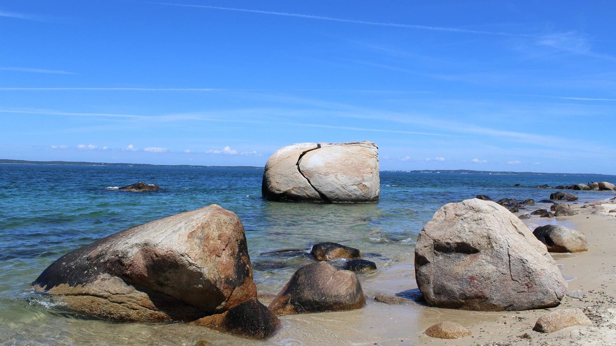 Vineyard Haven House | Private 6 Acres, Walk to Private Beach