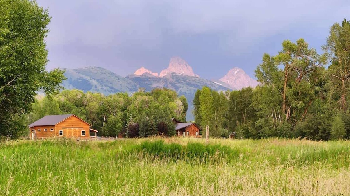Tetonia House | Private Acreage - Teton Meadow Grand View Cabin