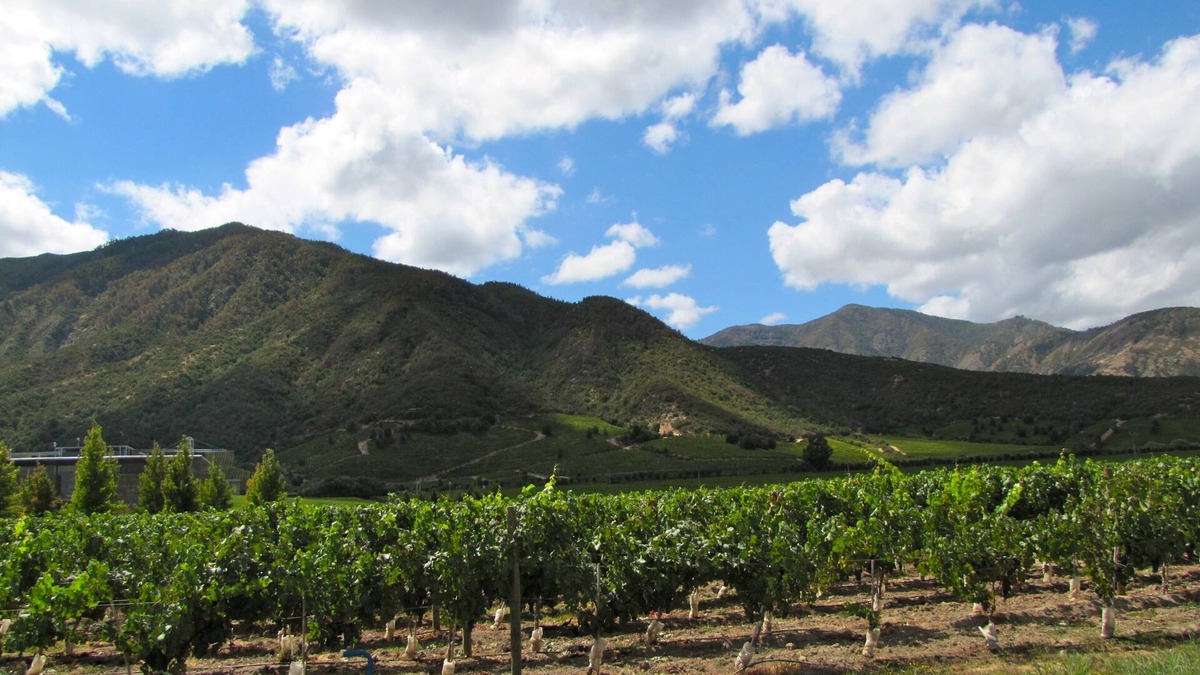 Glen Ellen Cottage | Private and Charming Wine Country Cottage in Serene Setting
