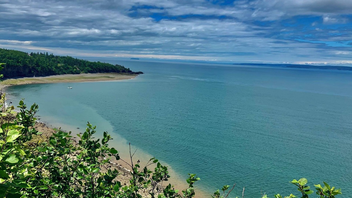 Hall's Harbour House | Private and cozy home - a short walk from the picturesque Halls Harbour hamlet