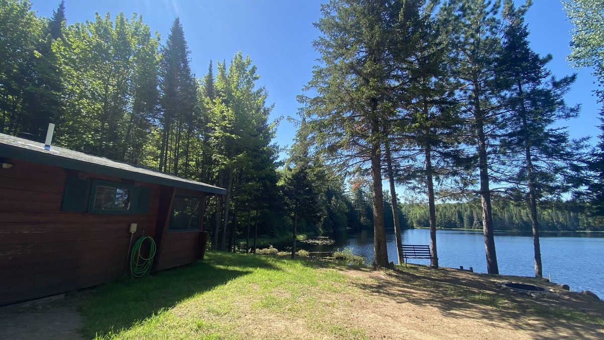 Phelps Cabin | Private and Peaceful