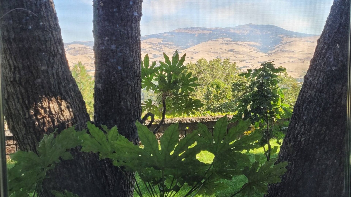 Ashland Apartment | Private and quiet luxury studio suite on three acres overlooking Ashland.