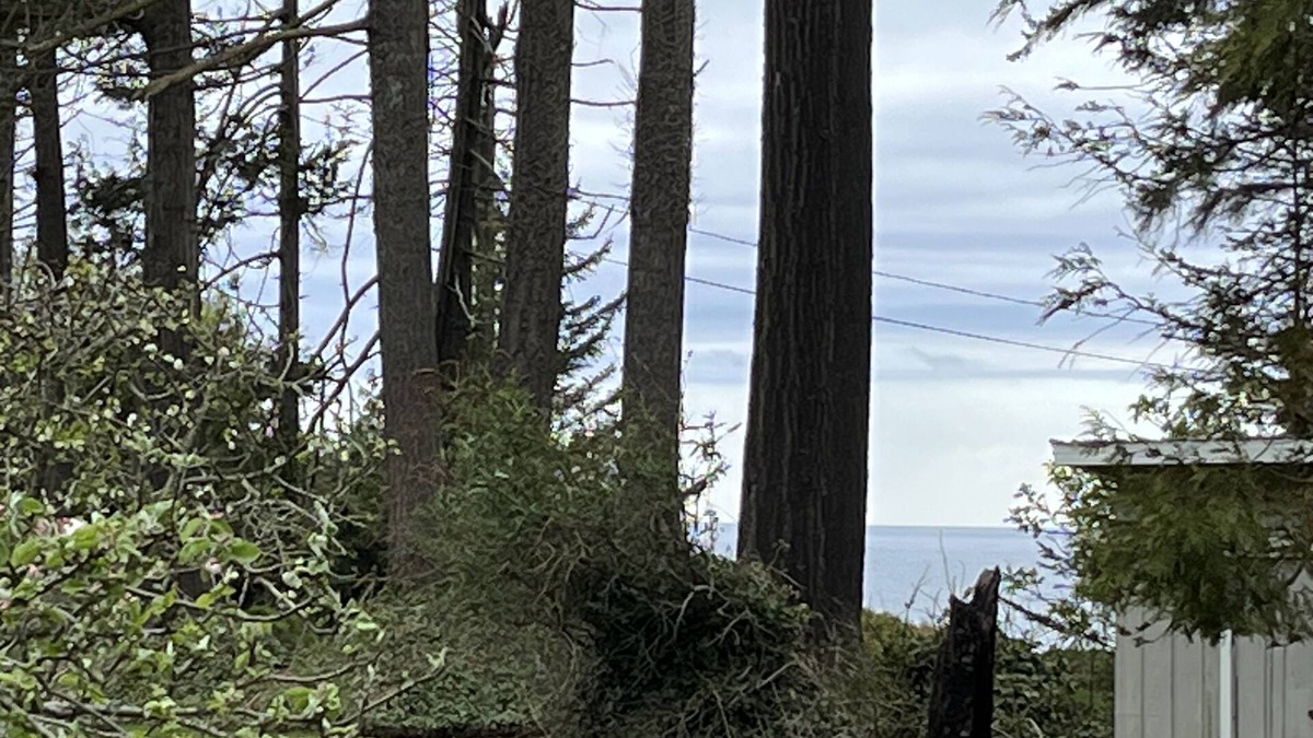 Sequim House | Private Beach Access on private trail offers Seclusion, comfort and intimacy.