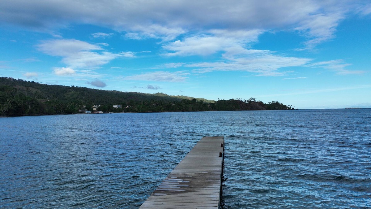 Samana Resort | Private Beach Resort. Pet friendly. Amazing excursions. #Whale watching.nn