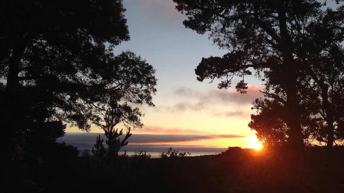 Carmel Woods Apartment | Private Carmel Woods, Dog Friendly, by Monterey, Pebble Beach, Big Sur