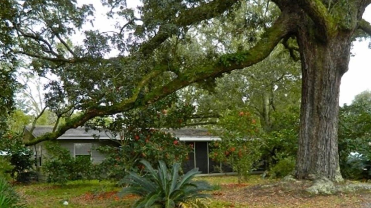 Ocean Springs House | Private Cottage, Historic Ocean Springs, Intown Location