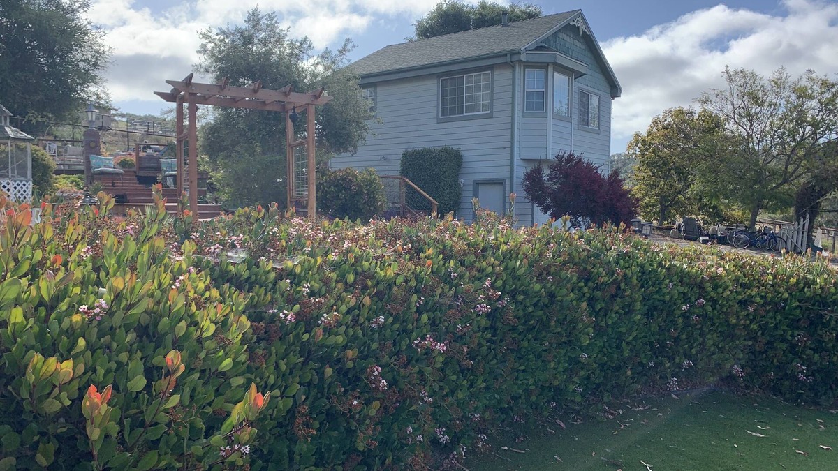 Arroyo Grande Apartment | Private country cottage with gazebo and rose garden. Wineries nearby.