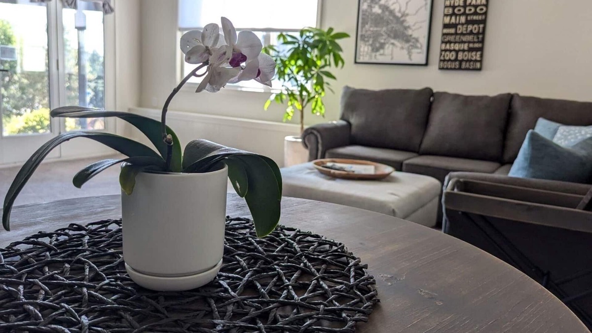 Harris Ranch House | Private downstairs space with a view. Light & bright & cool!
