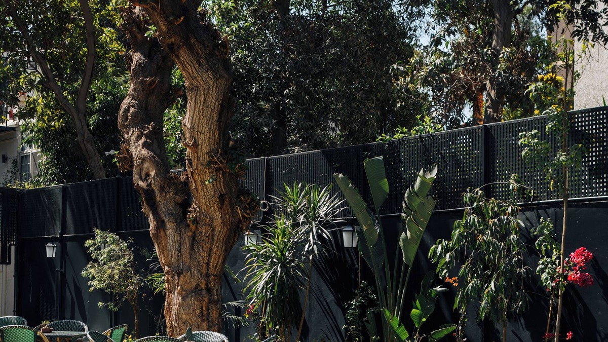 Maadi Villa | Private fully serviced villa in Maadi, with a private pool, kitchen and garden.