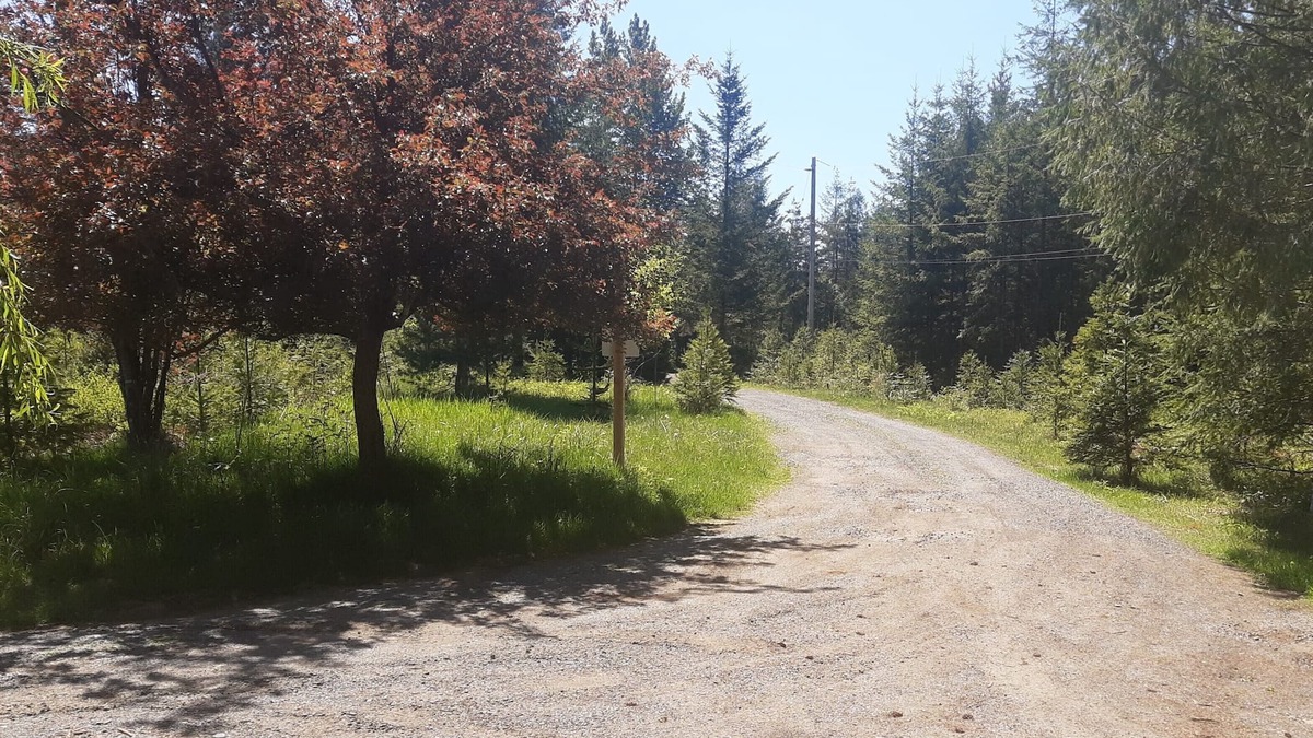 Courtenay House | Private Guesthouse on 74 Acres of Forest