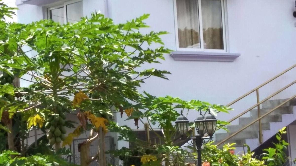 Vacoas-Phoenix House | Private House for Rent in Mauritius at a very competitive Price and very secure.