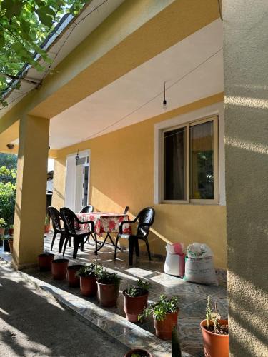 Sheqi i Vogel Apartment | Private house surrounded by greenery