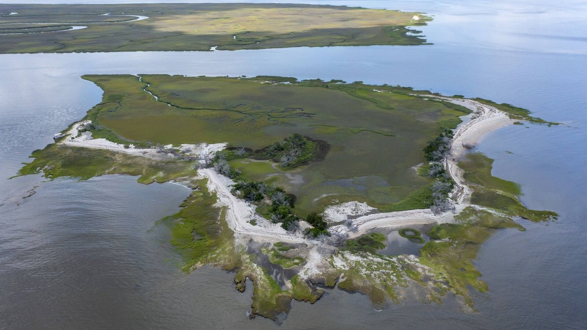 Jekyll Island Resort | Private Island Experience Day Trips, Events, Tours