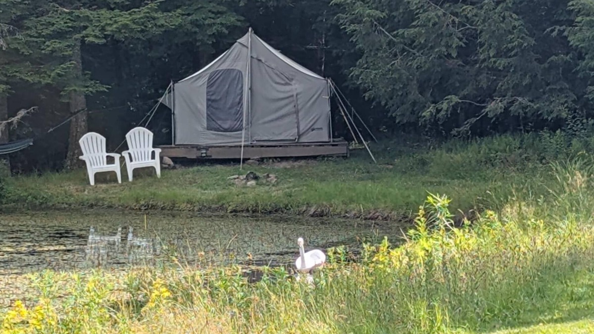 Parksville RV Rental | Private Lakefront Glamping Campsite