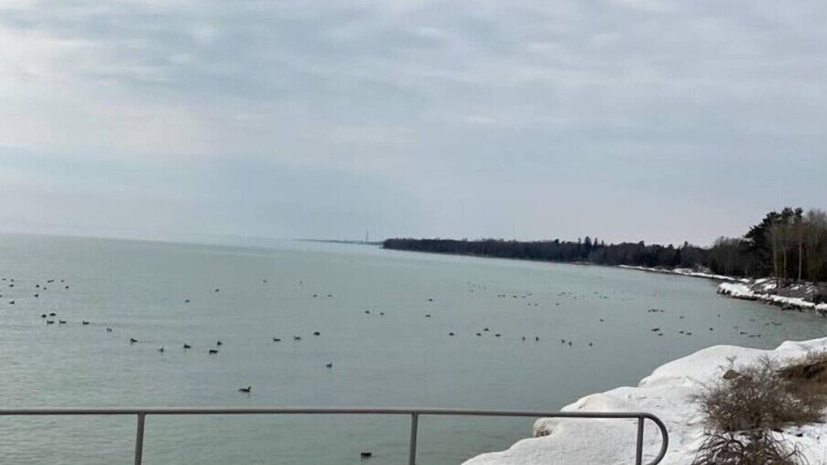 Cobourg Apartment | Private Lakeside Loft with Pationn