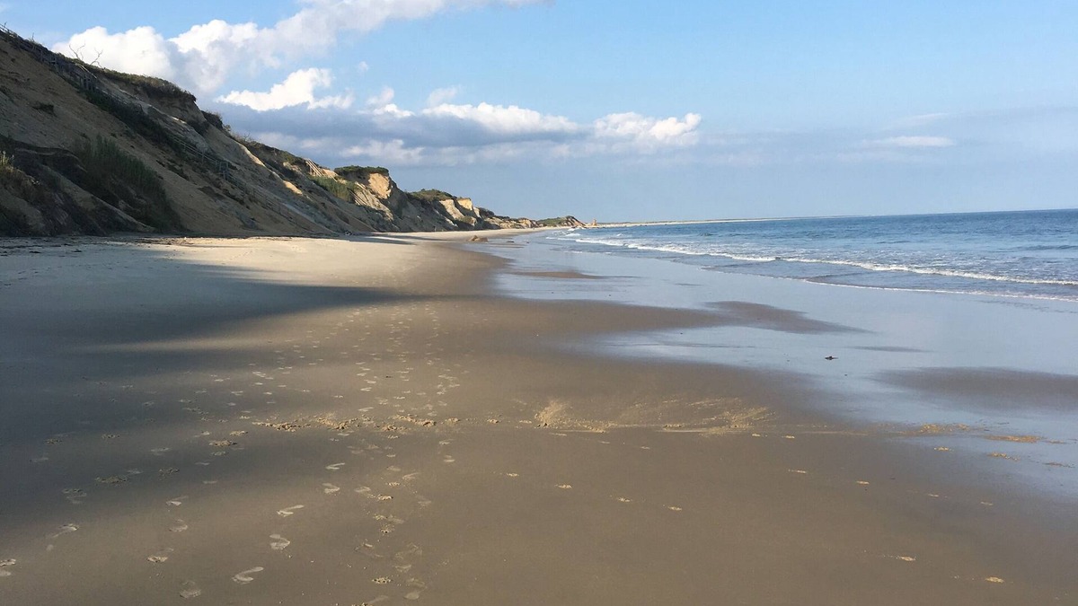 Chilmark House | Private Oceanfront Compound, 1/3 mi Private Beach, AC, Chilmark, WiFi